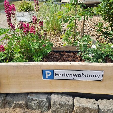 Ferienwohnung Im Winkel 汉斯泰德 外观 照片