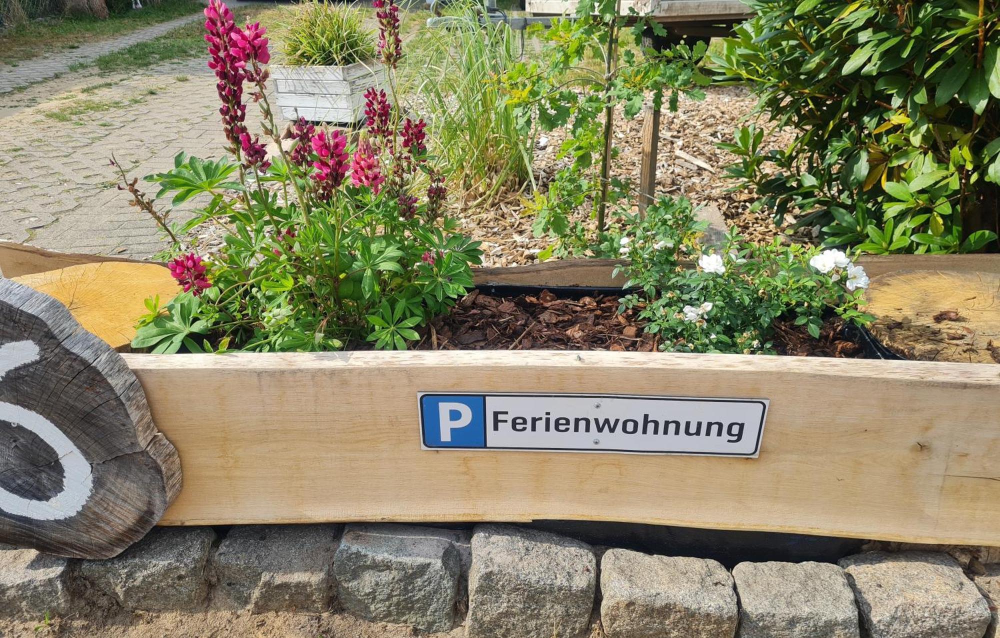 Ferienwohnung Im Winkel 汉斯泰德 外观 照片